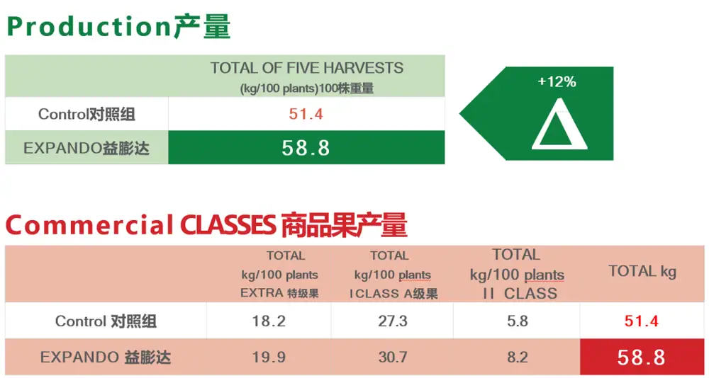益膨达——果实自然膨大,更多A级果