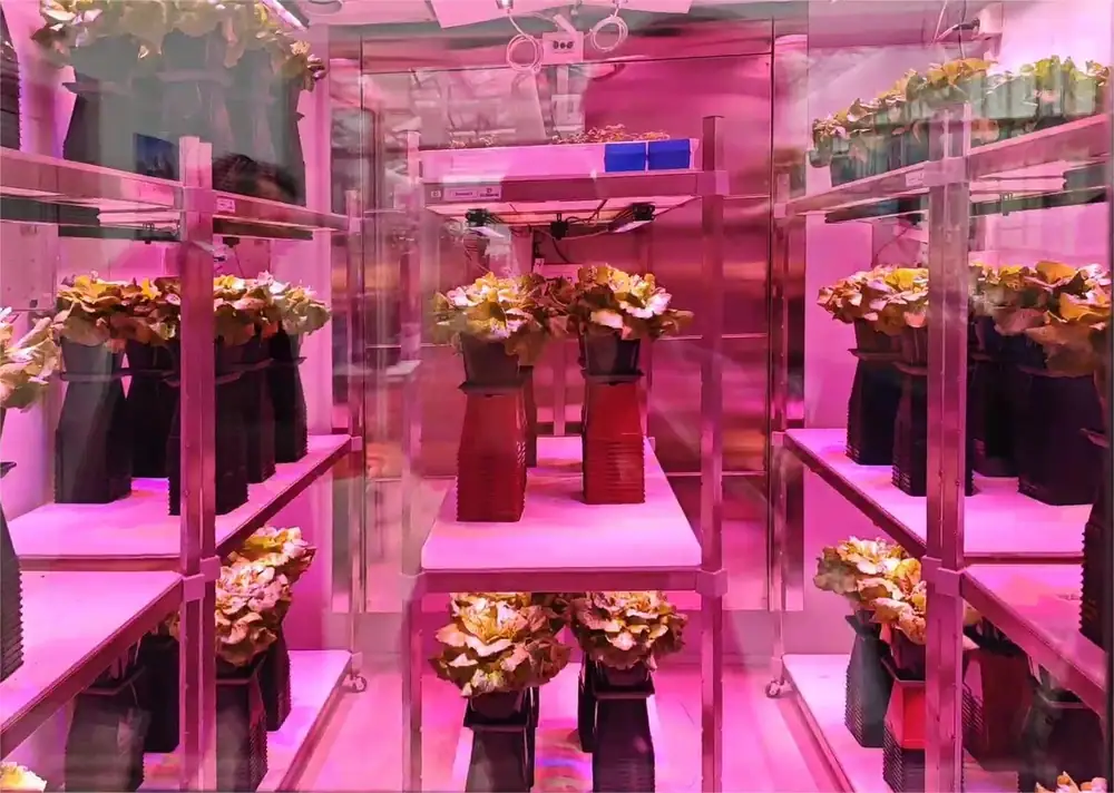 瑞年特肥现代农业环球之旅出访意大利绿色肥料集团