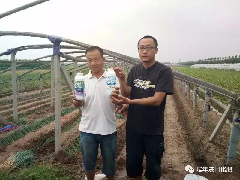 骄阳夏日,杭州瑞年为广大种植户提供技术服务