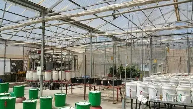 杭州瑞年访问以色列农业研究中心