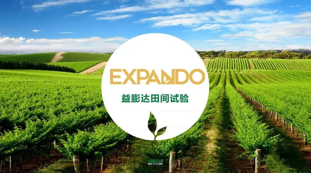 益膨达——果实自然膨大,更多A级果