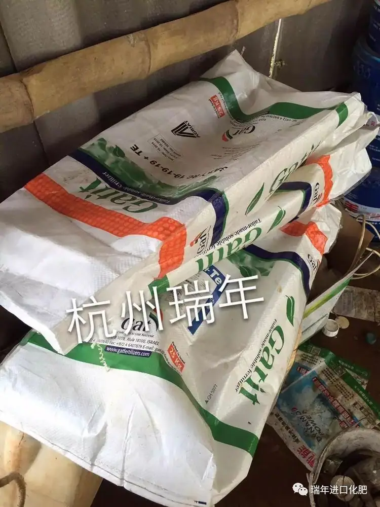 猕猴桃用瑞年进口营养套餐,枝头旺长势棒!