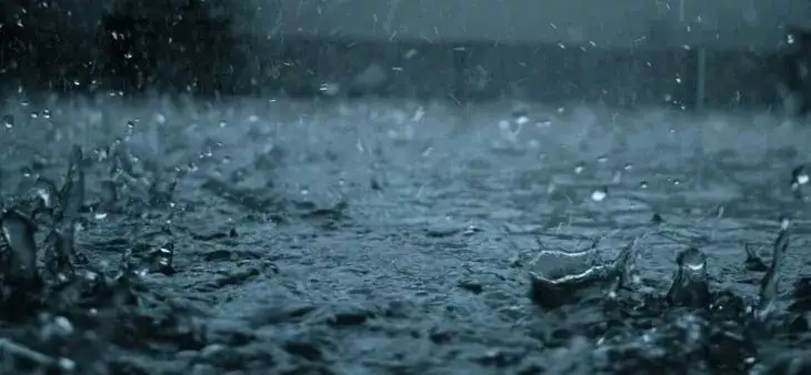 持续暴雨过后,如何拯救我们受伤的农作物