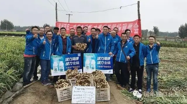 杭州瑞年举办大姜全程套餐测产观摩会