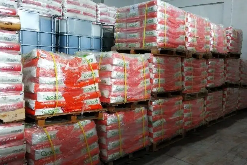 杭州瑞年举办615港口直播节