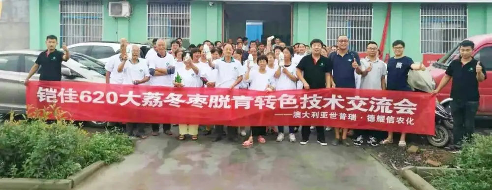 澳大利亚世普瑞在陕西大荔举办冬枣脱青转色技术交流会