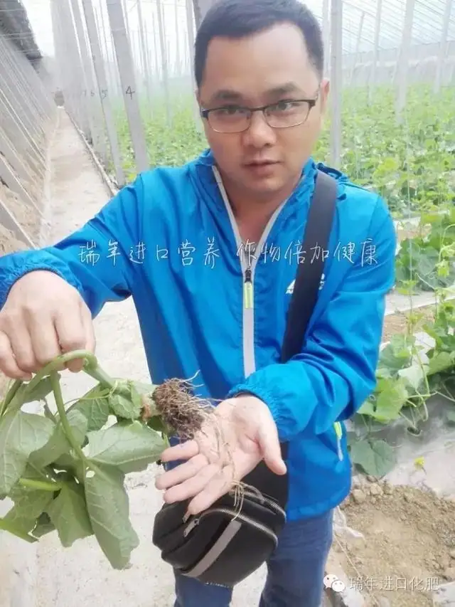 杭州瑞年服务队走进山东寿光