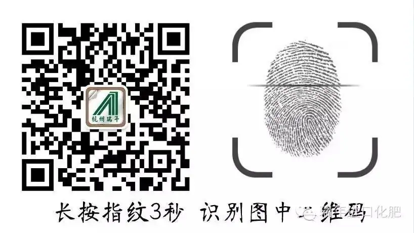 杭州瑞年举办615港口直播节