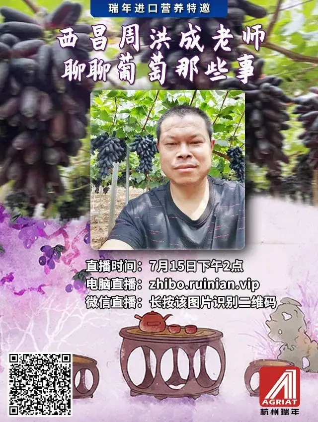 西昌葡萄种植管理经验分享