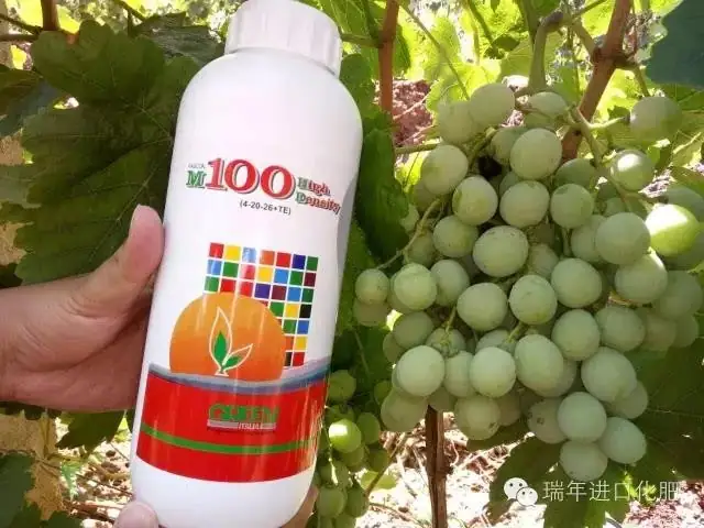绿力M100有助葡萄木质化
