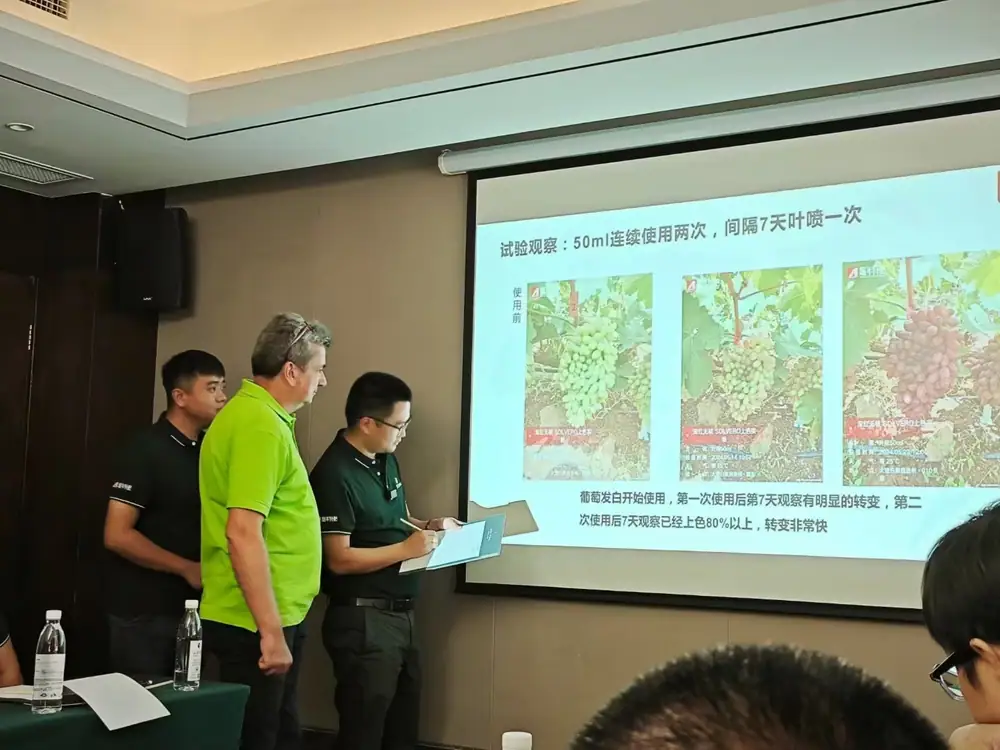 杭州瑞年2024年中会议在都江堰顺利开展