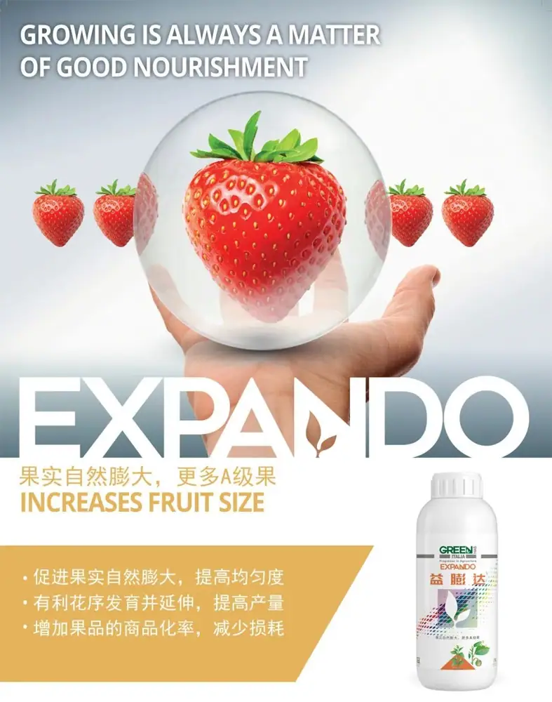 益膨达——果实自然膨大,更多A级果