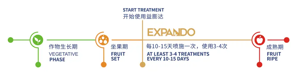 益膨达——果实自然膨大,更多A级果