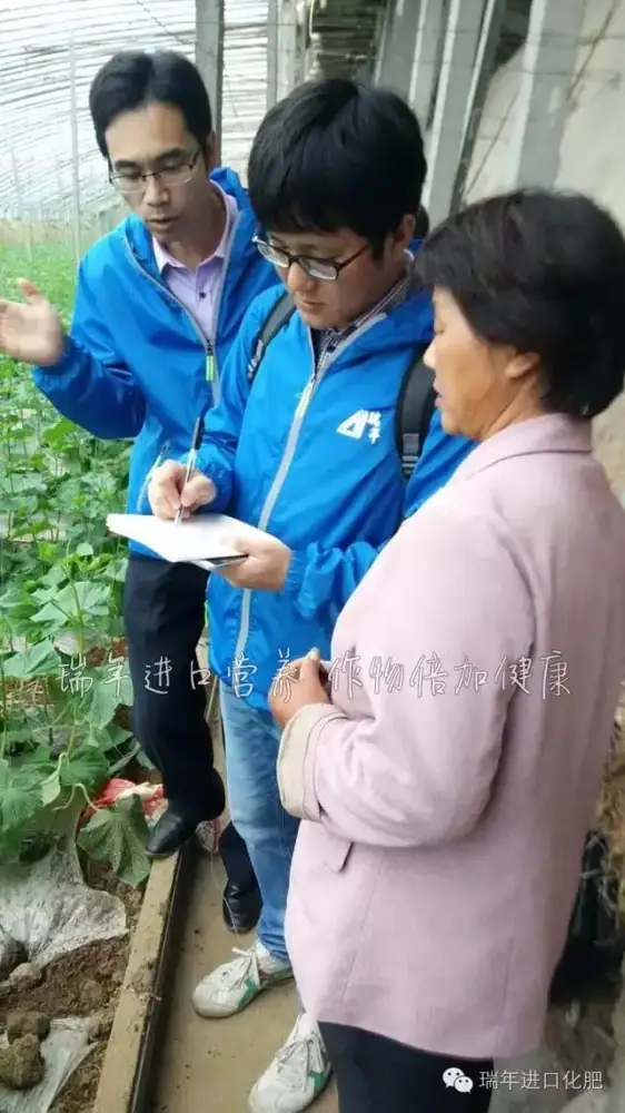 杭州瑞年服务队走进山东寿光