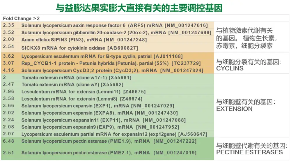 益膨达——果实自然膨大,更多A级果