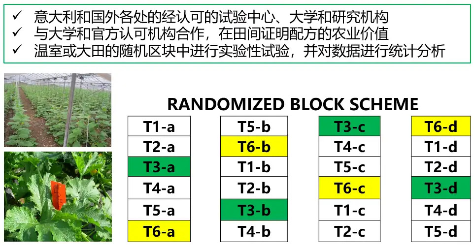 益膨达——果实自然膨大,更多A级果
