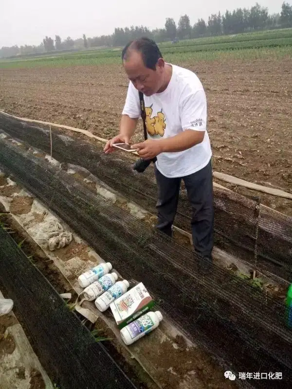 骄阳夏日,杭州瑞年为广大种植户提供技术服务