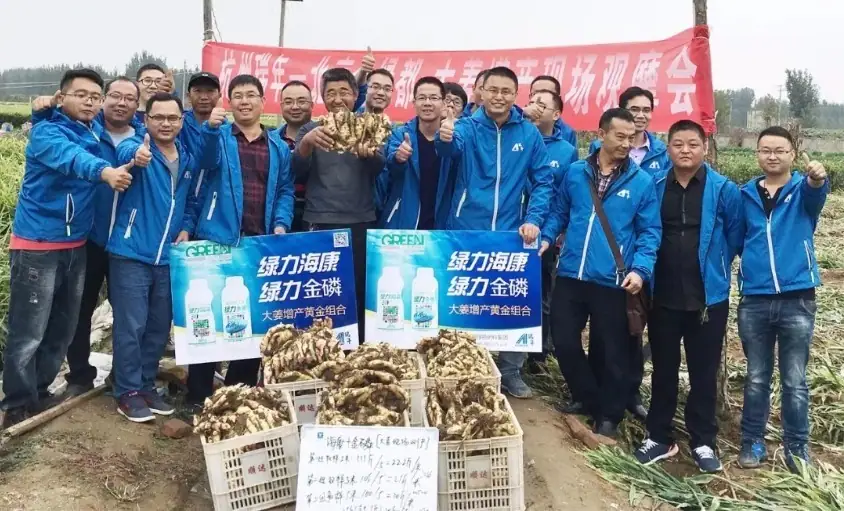 [高端访谈]田曹江：整合优势资源 打破品类局限