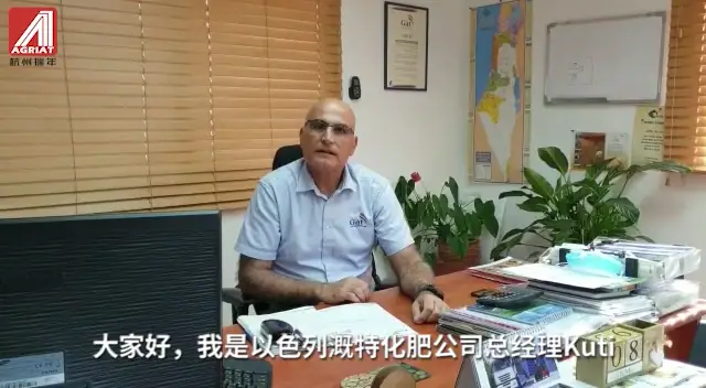 杭州瑞年举办615港口直播节