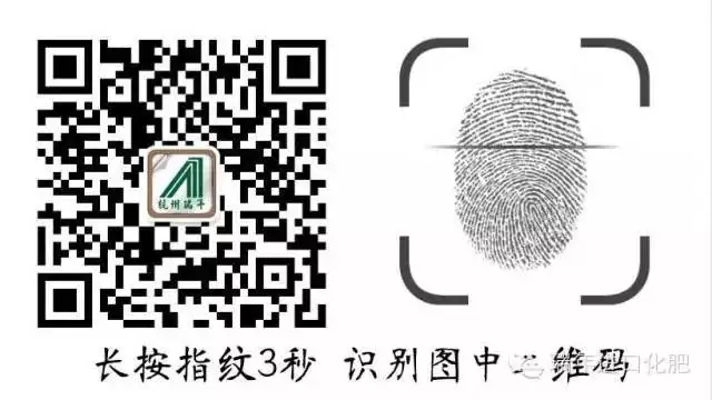 海施康+优碳,葡萄幼苗定植生根实验
