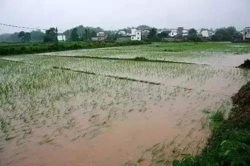 澳大利亚世普瑞在陕西大荔举办铠佳620应用技术交流会