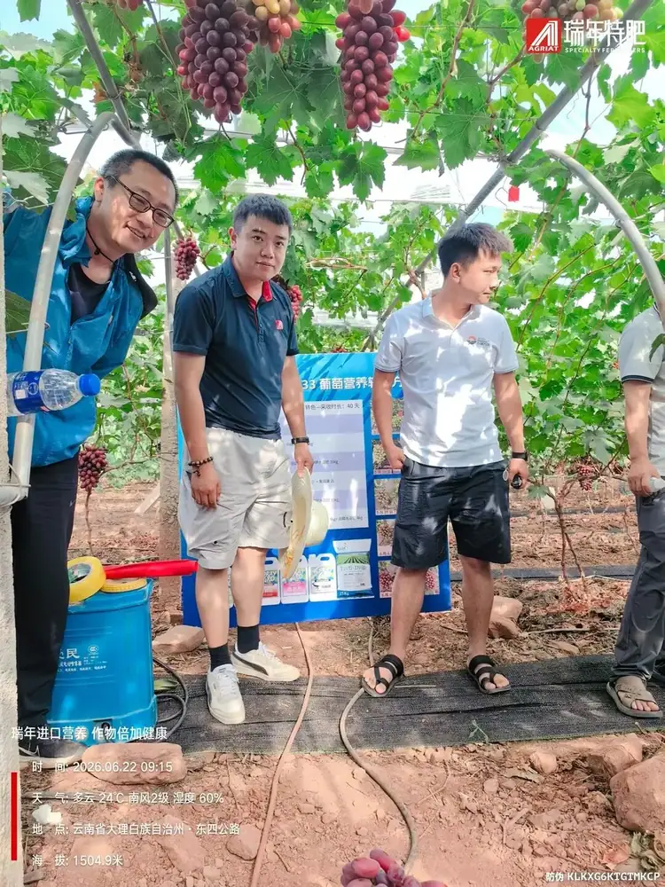 观摩会上,农户在园中对比转色效果