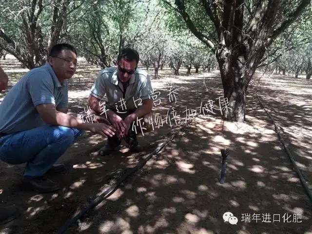 杭州瑞年考察澳洲化肥市场