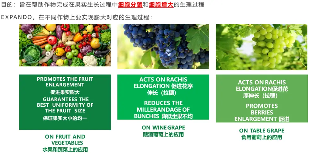益膨达——果实自然膨大,更多A级果