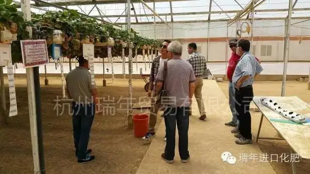 杭州瑞年访问以色列农业研究中心