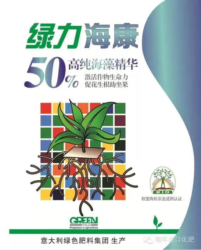 [试验]绿力海康能有效促进番茄苗根系生长，提高苗的强壮性