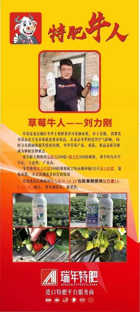 首届瑞年特肥技术交流论坛暨特肥牛人评选大赛举办