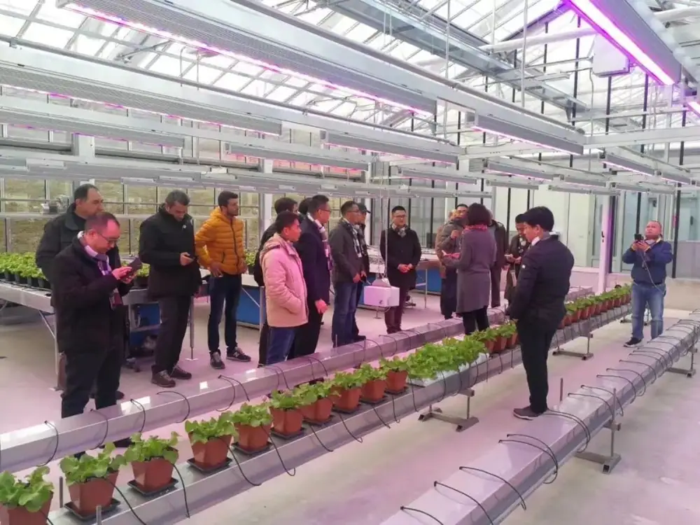 杭州瑞年与意大利绿色集团签署战略合作协议