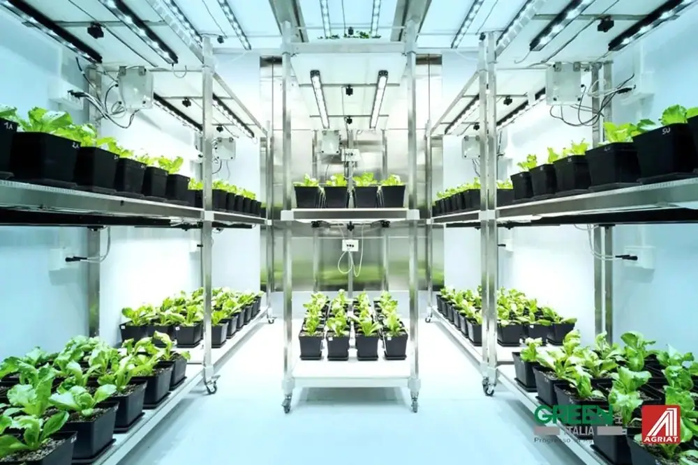 意大利特肥研究登上《Nature》杂志!
