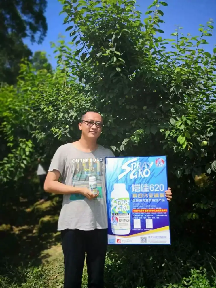 铠佳620-----柑橘李子更丰产 营养防控真是灵